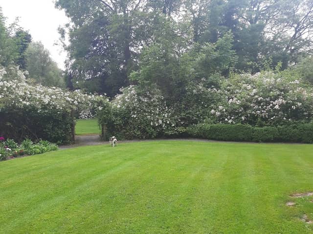 Grove Gardens - Image 2