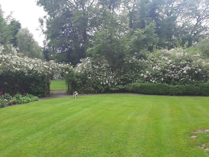 Grove Gardens - Image 2