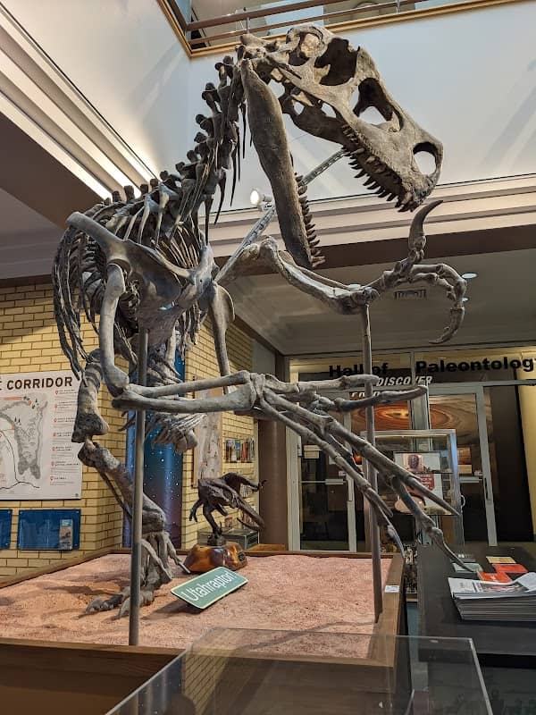 Prehistoric Museum, Utah State University Eastern - Image 2