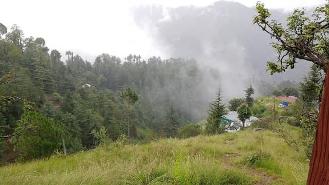 kiar koti - Image 1
