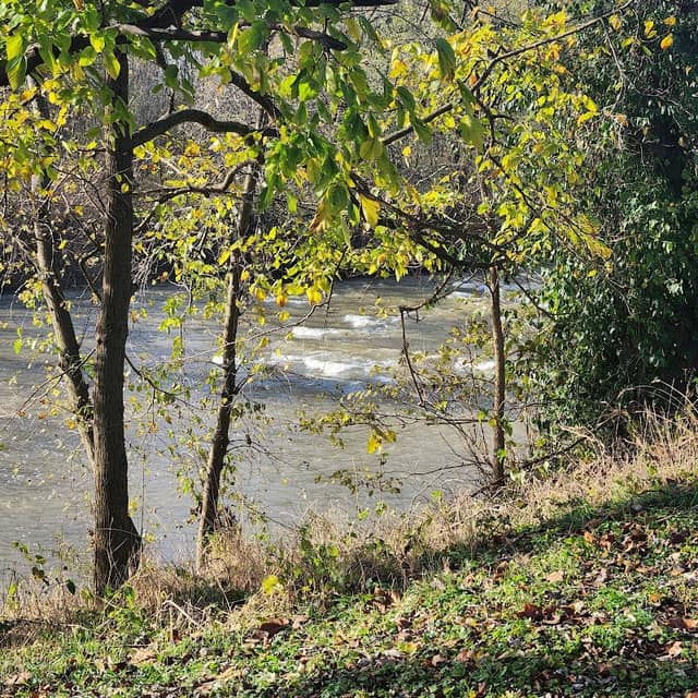 Shepherdsville Park - Image 2