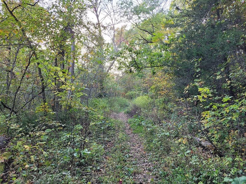 Coulee Experimental State Forest - Image 1