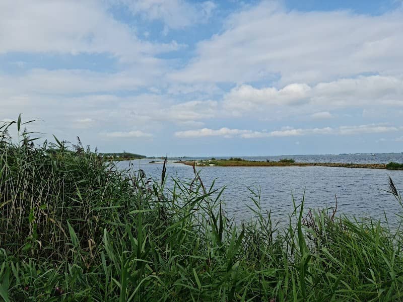Sommelsdijk - Image 2