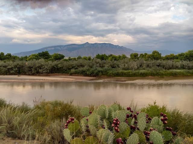 Rio Rancho Bosque Preserve - Riverside Dr Entrance - Image 2