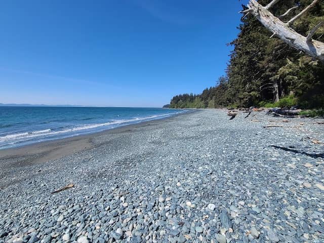 Sandcut Beach - Image 1