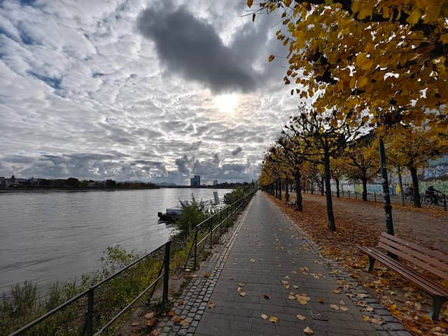 Bonner Rheinuferpromenade - Image 1