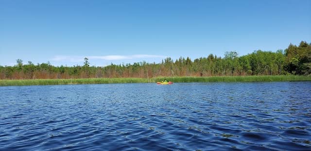 Mink River Preserve - Image 2