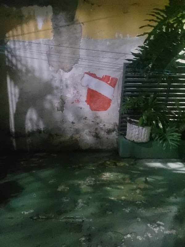 Arte do Pará - Image 1