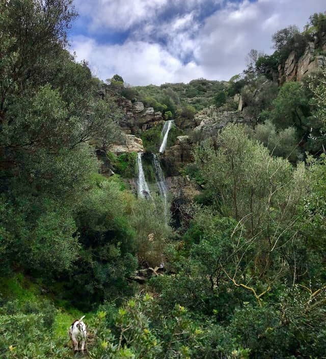 Cascata di Su Cannoni - Image 1