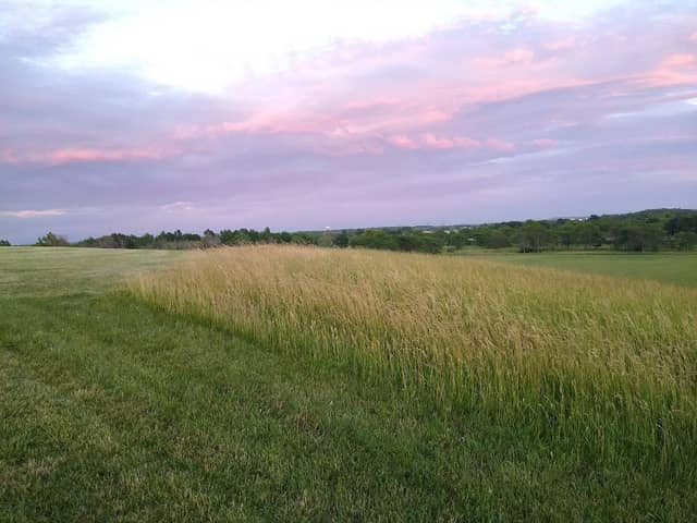 Reservoir State Park - Image 2