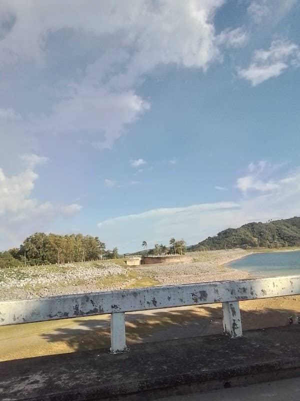 ร้านต้นไม้นายแป้น(บางแฟบ-ท่าท้อน) - Image 1