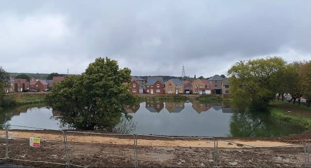 Willow Pond - Image 2