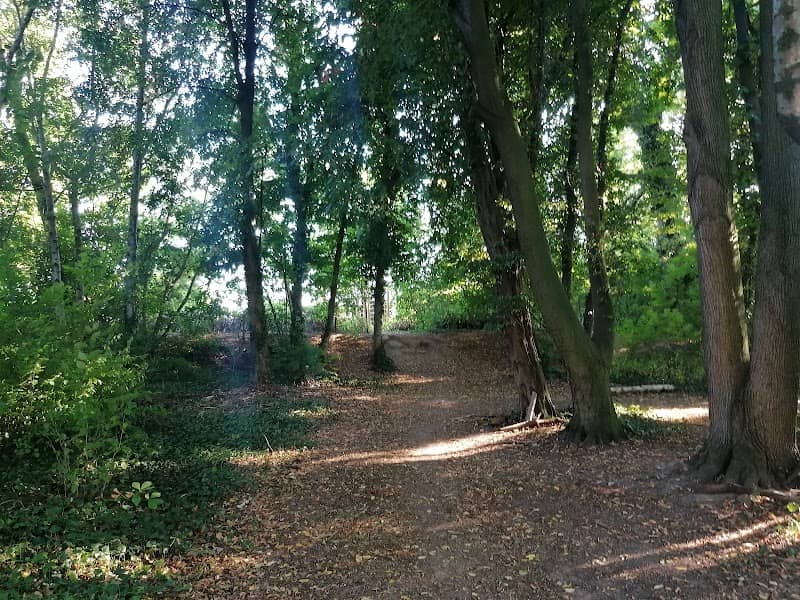 Pflugfelden Nature Park - Image 1