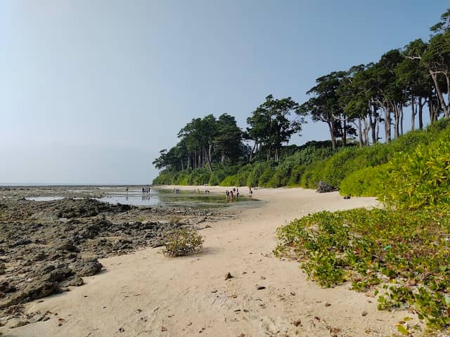 Nemo Point - Image 2