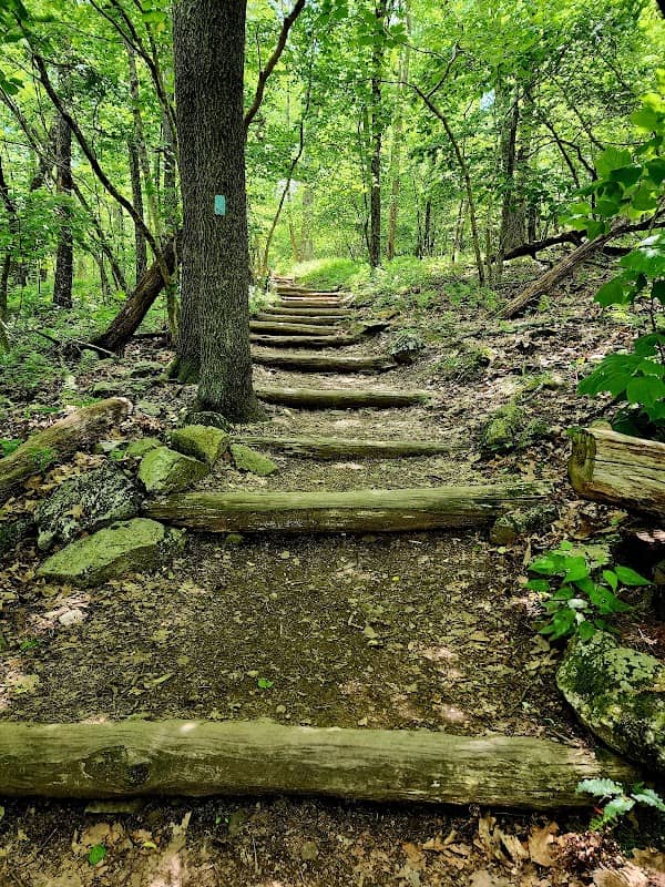 Bearfence Mountain - Image 3