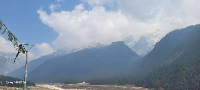 Flower Valley - Image 2