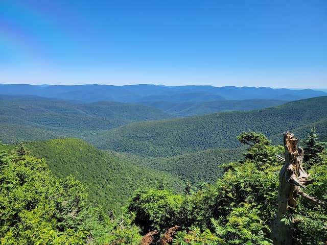Slide Mountain Wilderness - Image 3