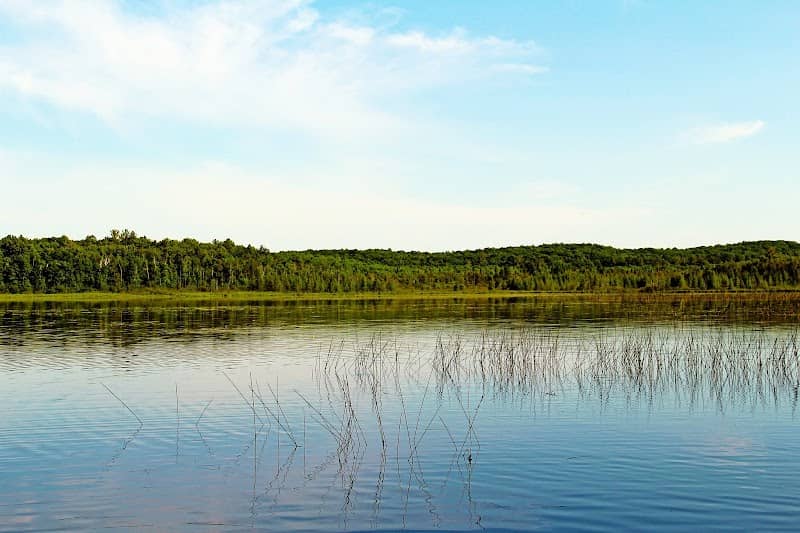 Tranus Lake State Natural Area - Image 1