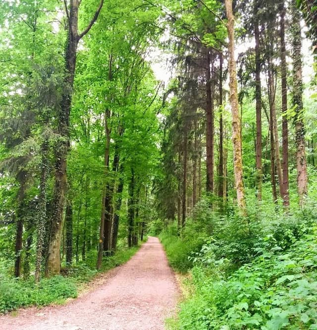 naturWANDERkultur - Image 1