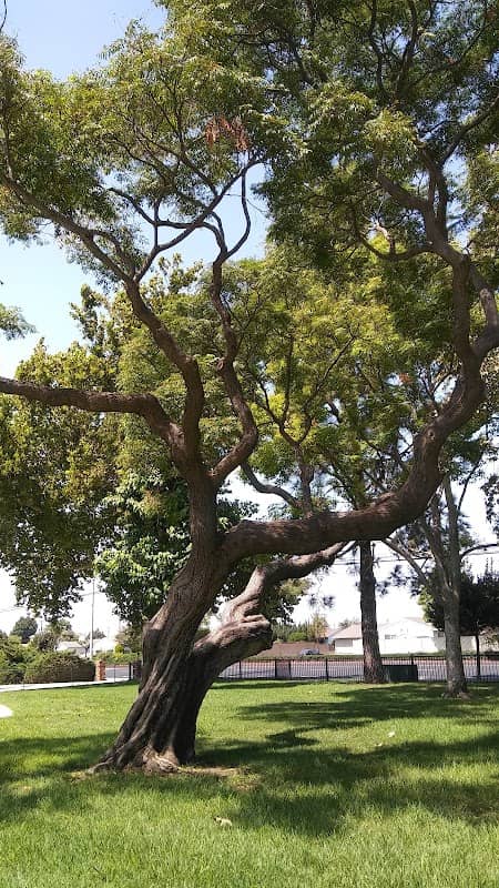 Baroldi Sycamore Park - Image 2