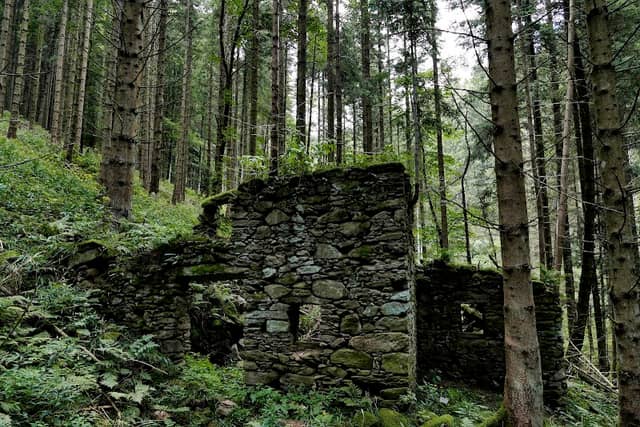 alte Ruinen - Image 1