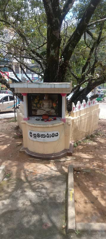 Bus stand to Hatton - Image 1