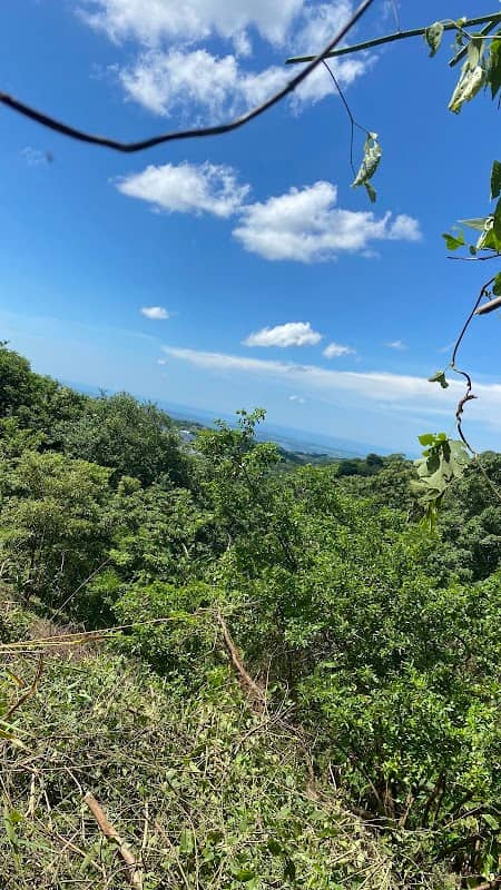 Finca Hernandez - Image 1