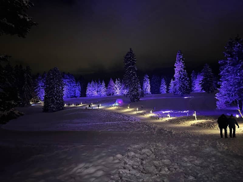 Crans Montana letters - Image 2
