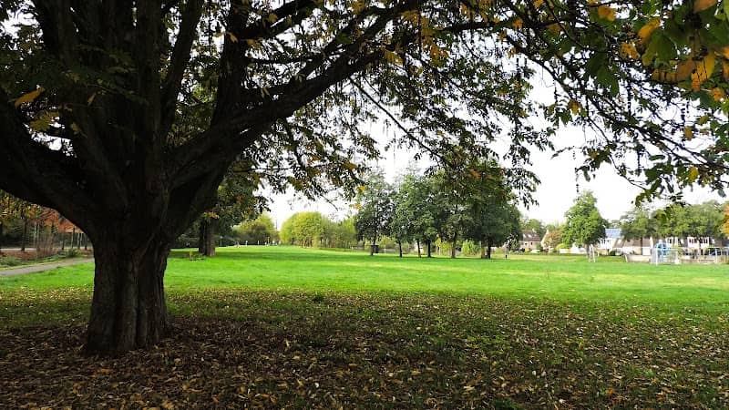 Park Noordwest - Image 3