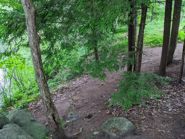 Milne Nature Sanctuary - Image 1