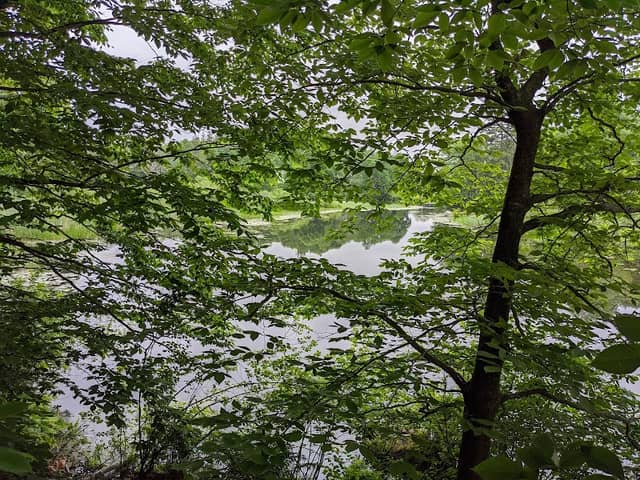 Milne Nature Sanctuary - Image 2