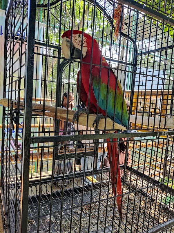 Bilimora Bird Park - Image 1