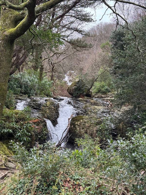 Donard Park - Image 1