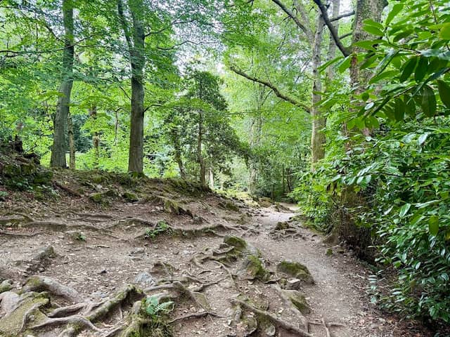 Donard Park - Image 3