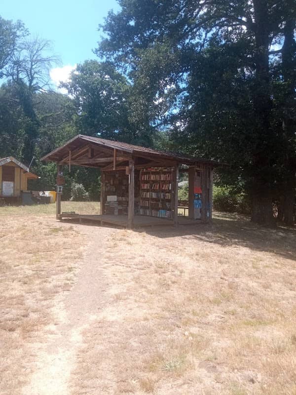 Libreria diffusa - Image 1