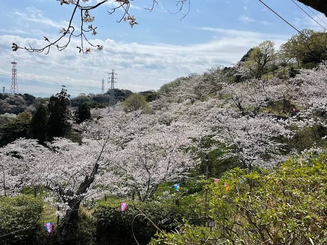 Tsukayama Park - Image 2