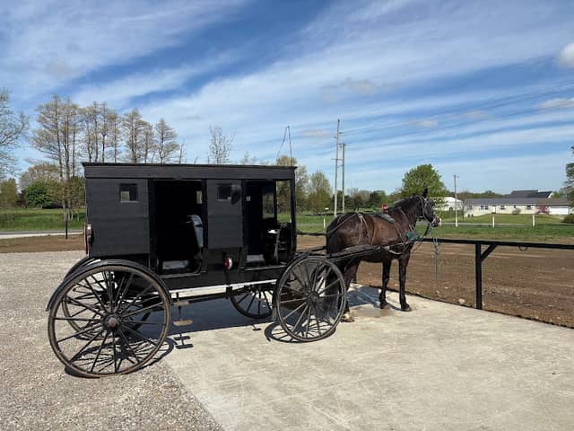 My Amish Indiana - Private Tours - Image 3