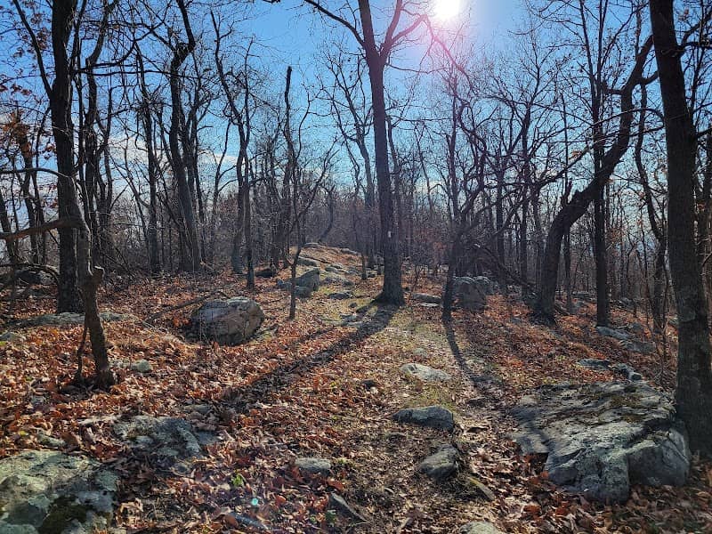 Shannondale Springs Wildlife Management Area East - Image 2