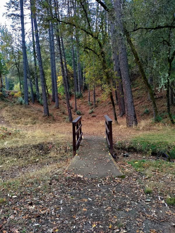 Lumsden Park - Image 1