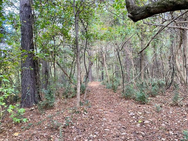 Cannongate Nature Park - Image 1
