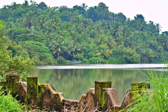 River view - Image 2