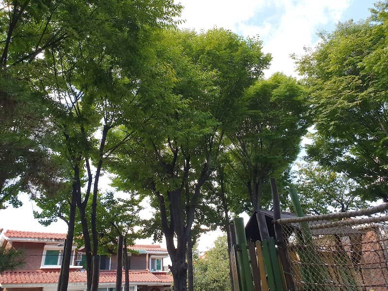Mongnyeon Park - Image 2