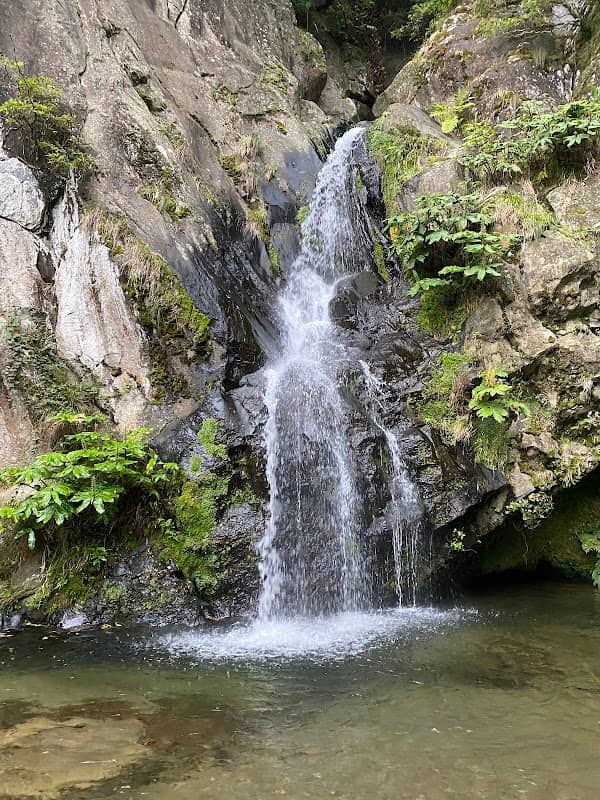 Parque dos Moinhos - Image 1