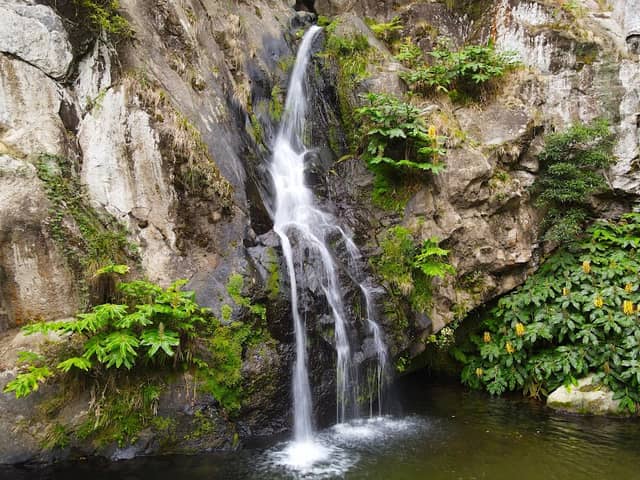 Parque dos Moinhos - Image 2