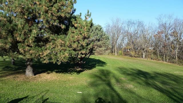 Marquette Park - Image 2