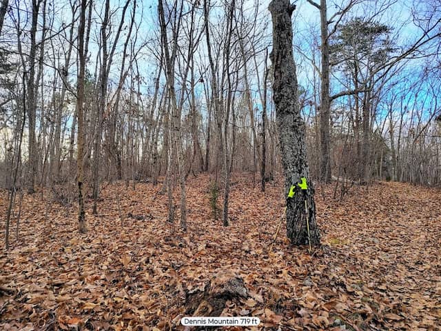 Wood Run Hunt Camp - Image 1