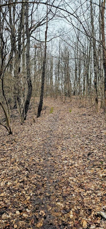 Lytle Creek Nature Preserve - Image 1