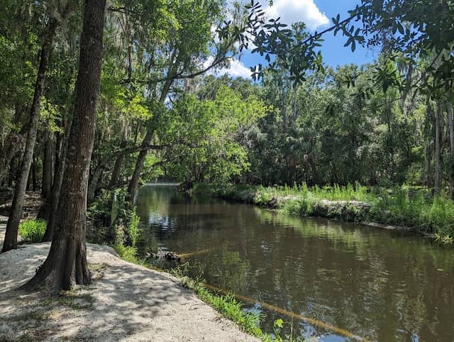 Shingle Creek Regional Park - Image 2