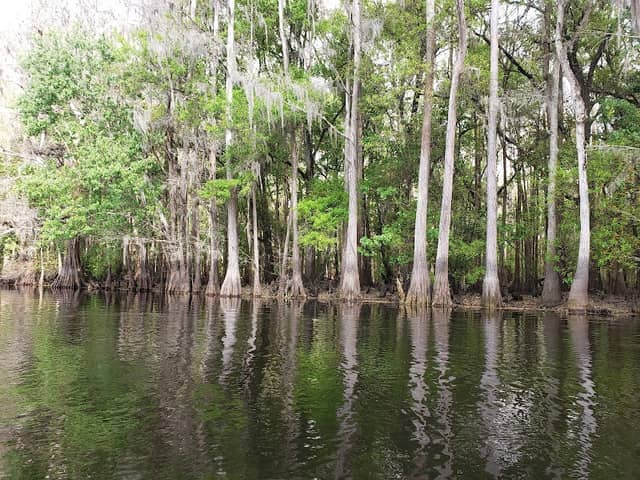 Shingle Creek Regional Park - Image 1