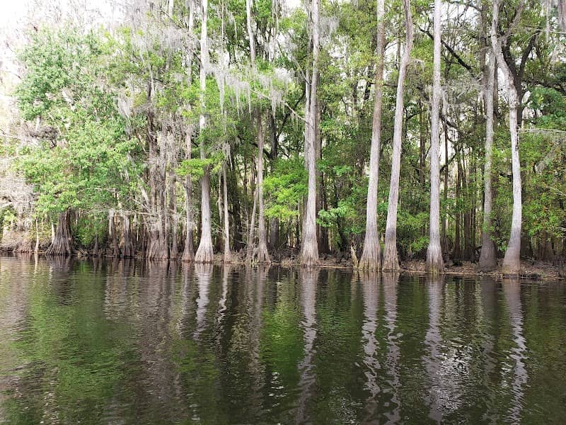 Shingle Creek Regional Park - Image 1